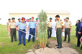 The UAE Plants the Union Tree